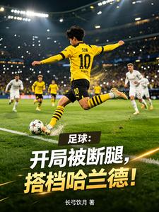 足球：开局被断腿，搭档哈兰德！