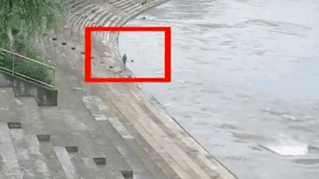 ��������Ϊ������Ϊ��Ӣ���ǵ����
