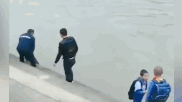 ��������Ϊ������Ϊ��Ӣ���ǵ����