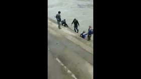 ��������Ϊ������Ϊ��Ӣ���ǵ����