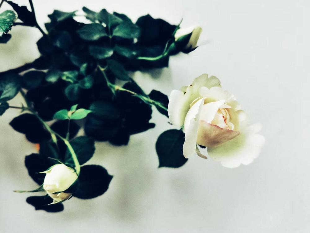 �Ǹ����ż������Ķ���Ů�˼޸����ϰ�