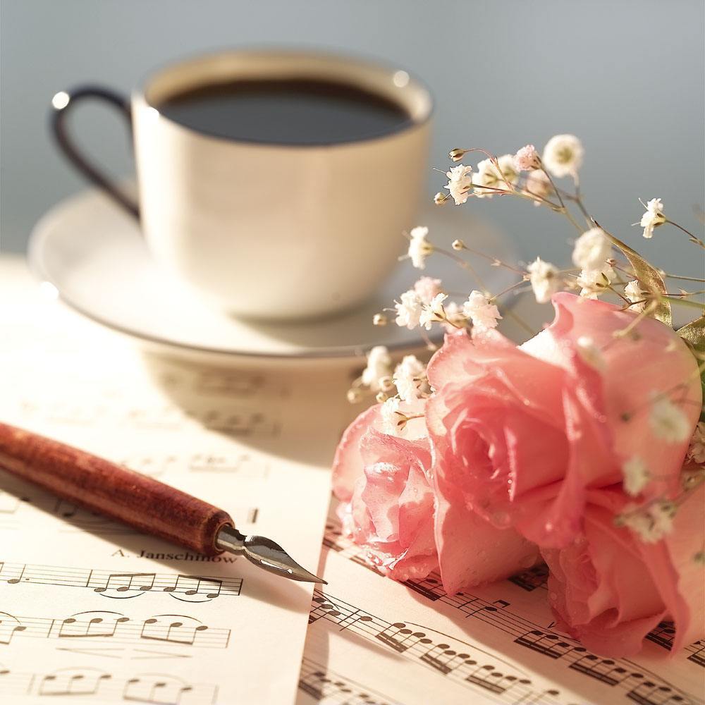 ����Ӧ���໥�����������۲���Ϊ��ڷ��ֵĶ��ǳ���