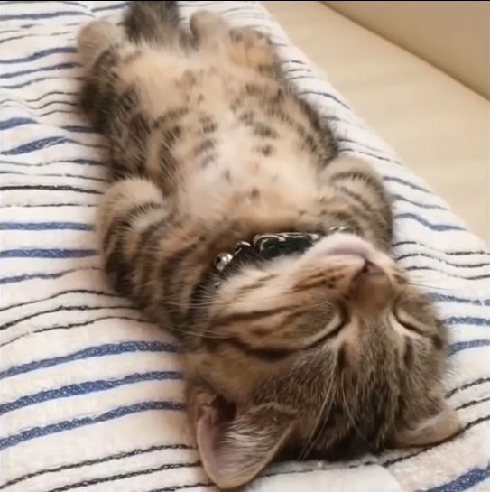 ��Ҫ��˯��Ҳ�з���������˵����
