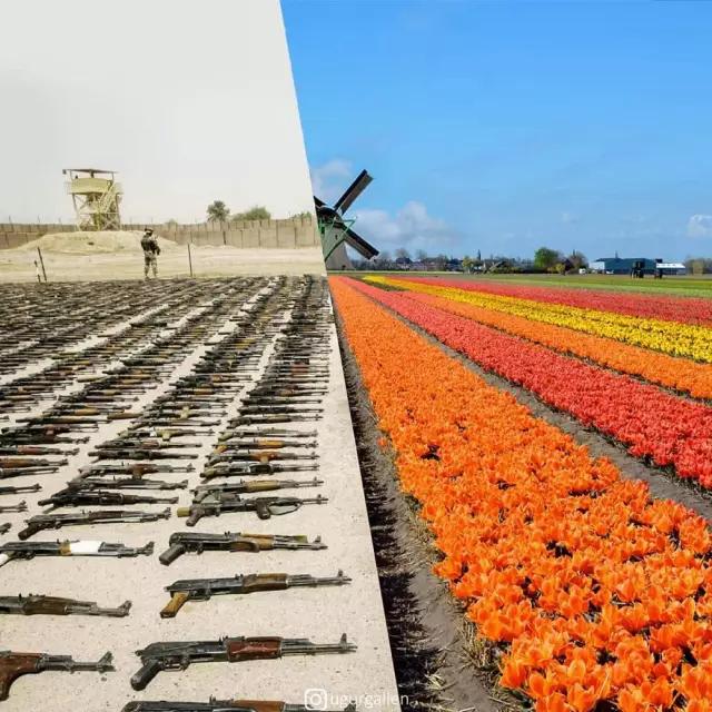 ս���Ĳп�û���ܹ��������⣬��һ�����ӵı���