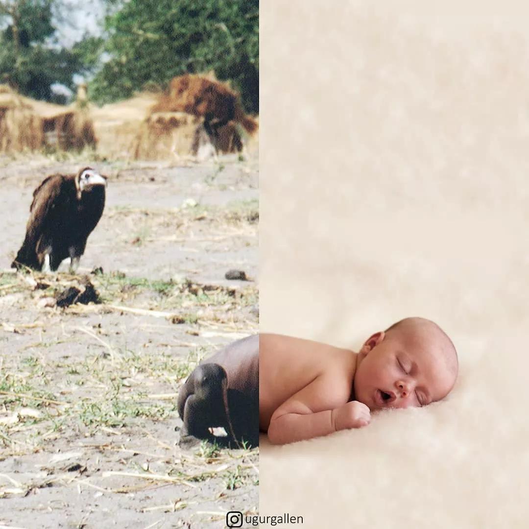 ս���Ĳп�û���ܹ��������⣬��һ�����ӵı���