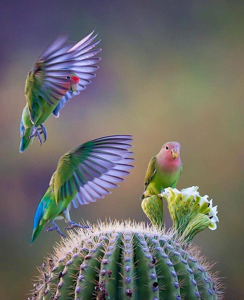 ����´�����Ĵ�˵_����´�����˲��Ϸ��ܵ�������