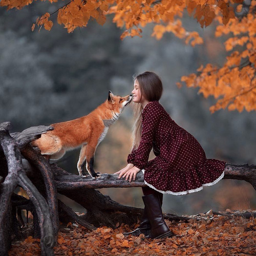 ���˵���ʶ�������ֻ�|�����Ҵ��ֿɼ�����ů