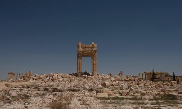 ���ܹ������Ļ����ձ���չʾ�˰�����ս���ڻ�֮�µ��Ļ��Ų�