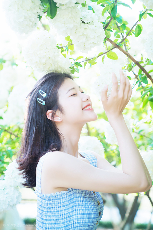 С���ϵ��С˵|�򲼺�ơ�ư���һ��